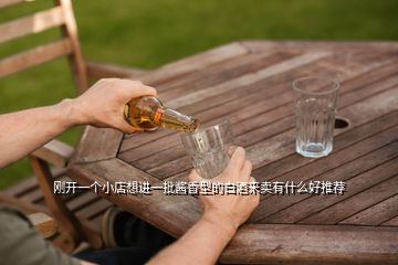 剛開(kāi)一個(gè)小店想進(jìn)一批醬香型的白酒來(lái)賣有什么好推薦