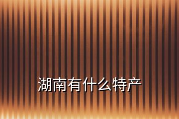 湖南有什么特產