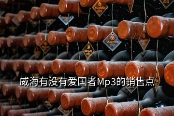 威海有沒有愛國者Mp3的銷售點