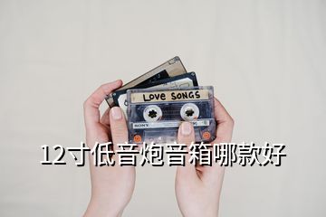 12寸低音炮音箱哪款好