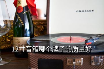 12寸音箱哪個(gè)牌子的質(zhì)量好