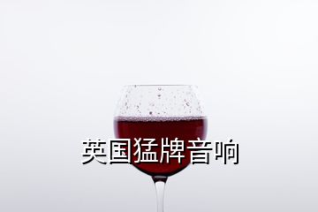 英國猛牌音響