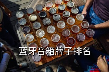 藍(lán)牙音箱牌子排名