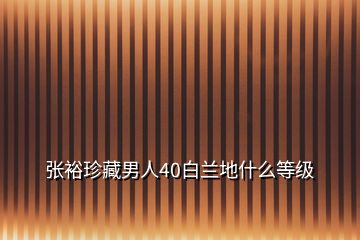 張裕珍藏男人40白蘭地什么等級