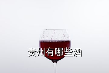 貴州有哪些酒