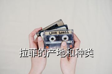 拉菲的產地和種類