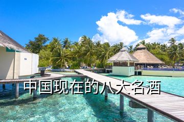 中國現(xiàn)在的八大名酒