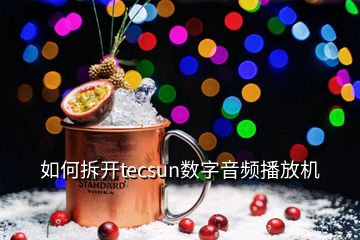 如何拆開tecsun數(shù)字音頻播放機