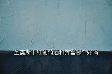 圣露斯干紅葡萄酒和奔富哪個好喝