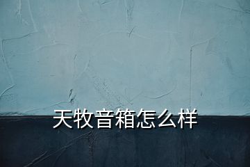 天牧音箱怎么樣