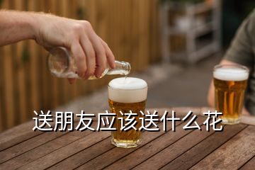 送朋友應(yīng)該送什么花