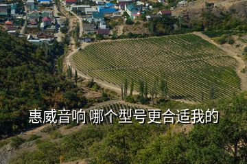 惠威音響 哪個型號更合適我的
