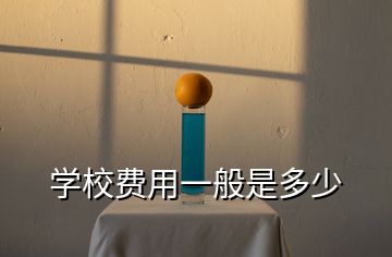 學校費用一般是多少