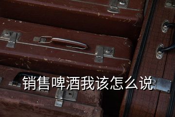 銷售啤酒我該怎么說