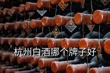 杭州白酒哪個牌子好