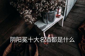陰陽(yáng)冕十大名酒都是什么
