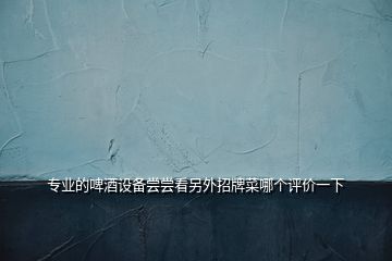 專業(yè)的啤酒設(shè)備嘗嘗看另外招牌菜哪個評價(jià)一下
