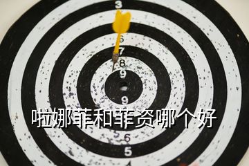 啦娜菲和菲資哪個好