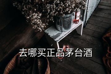 去哪買正品茅臺酒