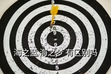 海之藍(lán) 海之夢 有區(qū)別嗎