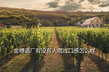 金樽酒廠有沒(méi)有人喝過(guò)口感怎么樣
