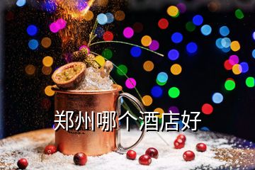 鄭州哪個酒店好