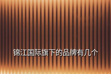 錦江國際旗下的品牌有幾個(gè)