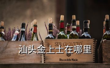 汕頭金上士在哪里