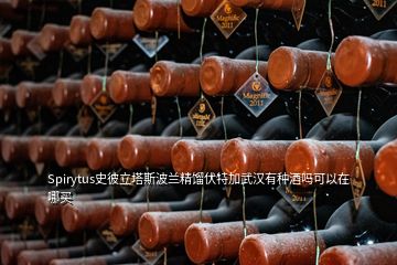 Spirytus史彼立塔斯波蘭精餾伏特加武漢有種酒嗎可以在哪買(mǎi)