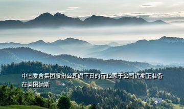 中國愛舍集團股份公司旗下真的有12家子公司近期正準備在美國納斯