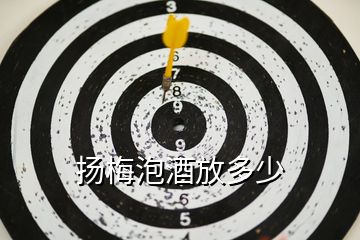 揚梅泡酒放多少