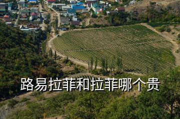 路易拉菲和拉菲哪個(gè)貴