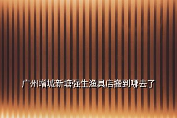 廣州增城新塘強(qiáng)生漁具店搬到哪去了