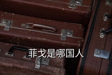 菲戈是哪國(guó)人