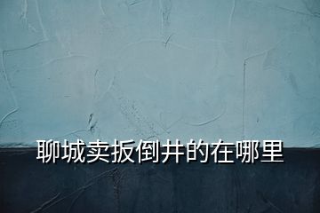 聊城賣扳倒井的在哪里