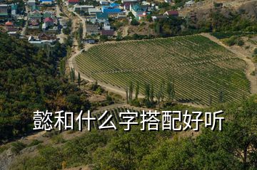 懿和什么字搭配好聽(tīng)