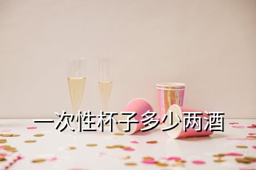 一次性杯子多少兩酒