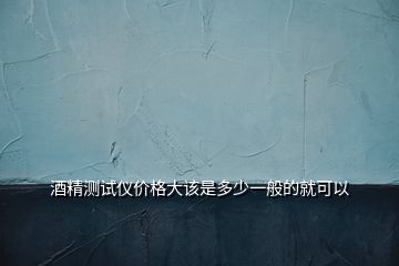 酒精測試儀價(jià)格大該是多少一般的就可以