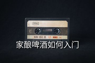 家釀啤酒如何入門(mén)