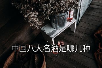 中國(guó)八大名酒是哪幾種