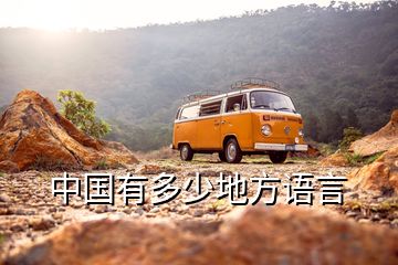 中國(guó)有多少地方語言
