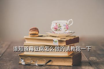 誰(shuí)知道霉豆腐怎么做的請(qǐng)教我一下