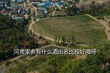 河南家鄉(xiāng)有什么酒出名比較好喝呀