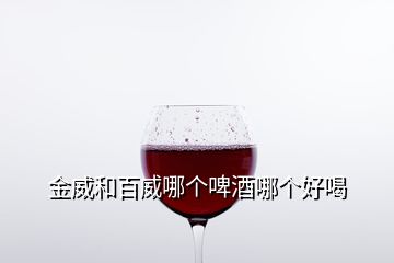 金威和百威哪個啤酒哪個好喝