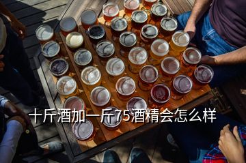 十斤酒加一斤75酒精會怎么樣