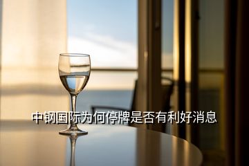 中鋼國(guó)際為何停牌是否有利好消息