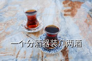 一個(gè)分酒器裝幾兩酒