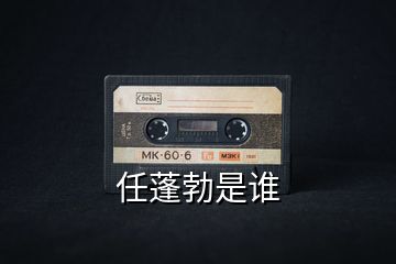 任蓬勃是誰
