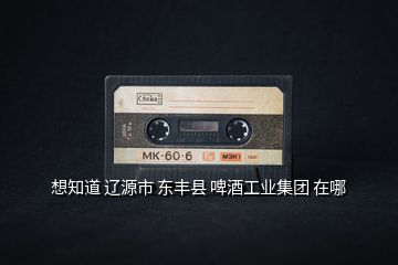 想知道 遼源市 東豐縣 啤酒工業(yè)集團(tuán) 在哪