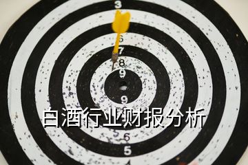 白酒行業(yè)財報分析